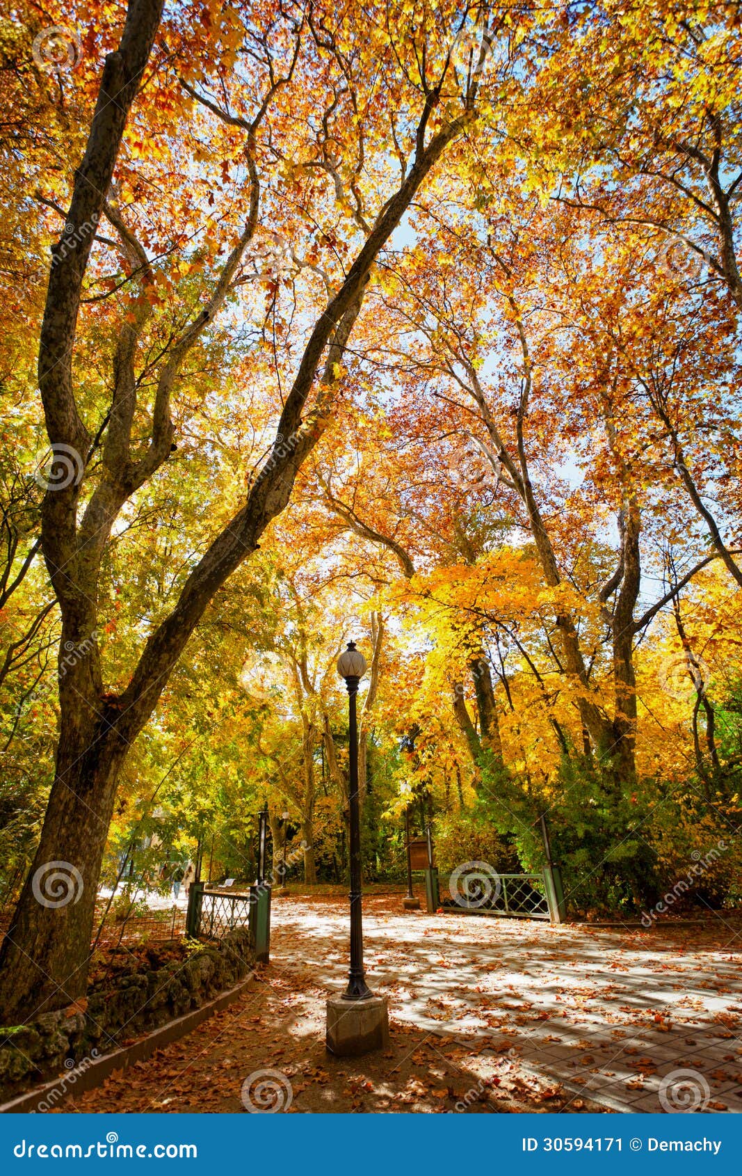 autumn in campo grande park