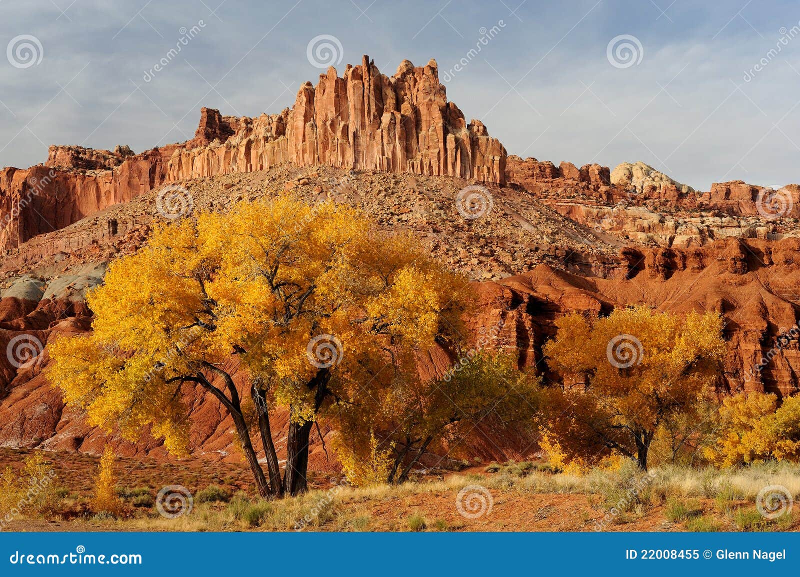 autumn at the capitol reef