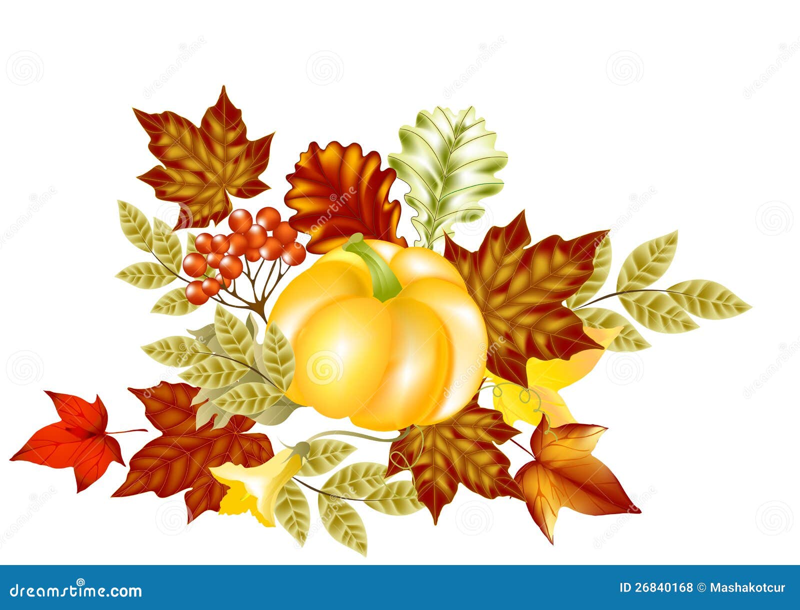 https://thumbs.dreamstime.com/z/autumn-card-pumpkin-maple-leafs-26840168.jpg