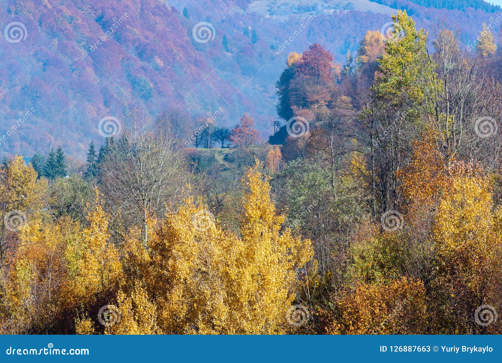 autumn carpathian mountains, ukraine