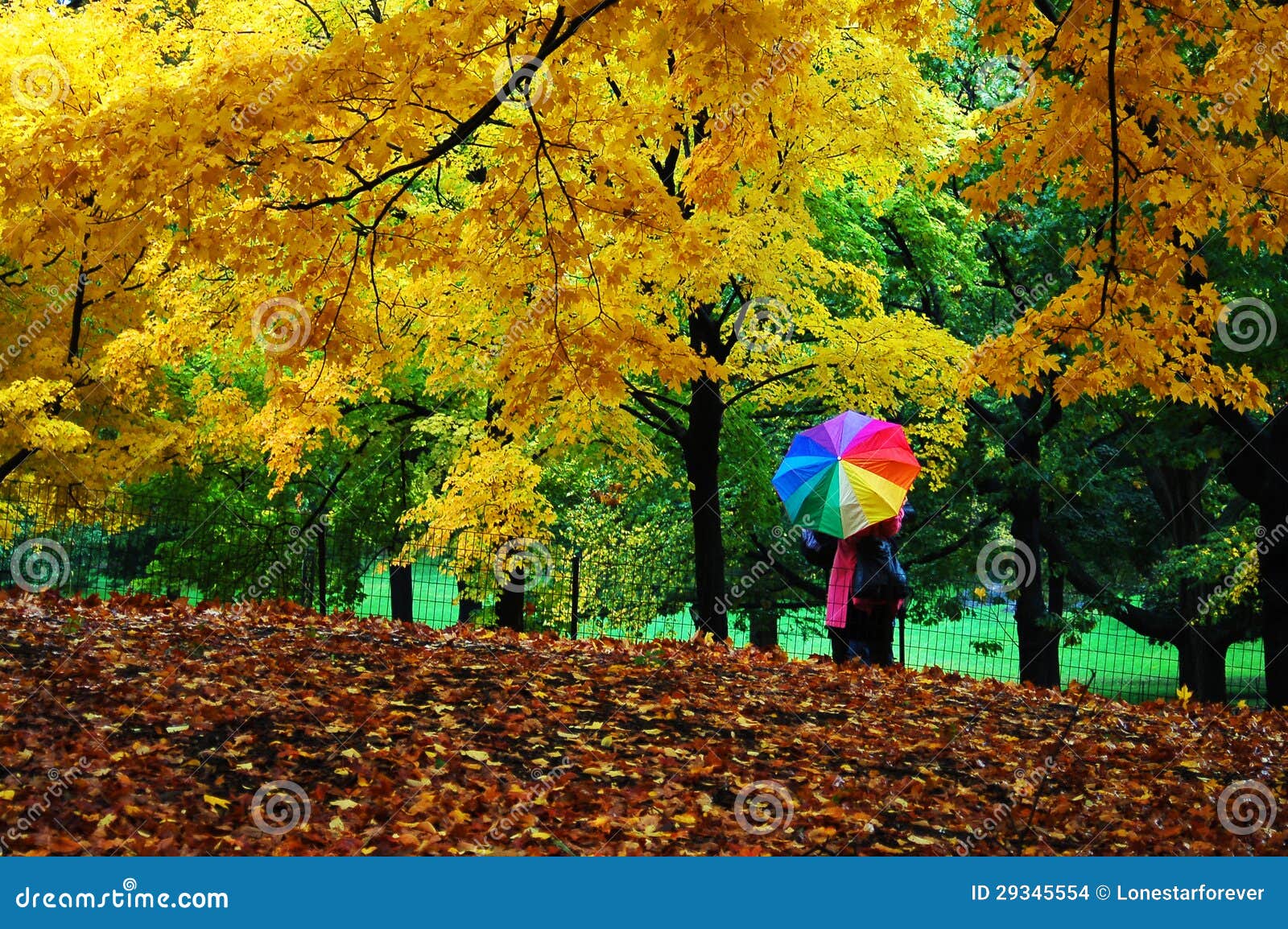 autumn in central park, manhattan, new york