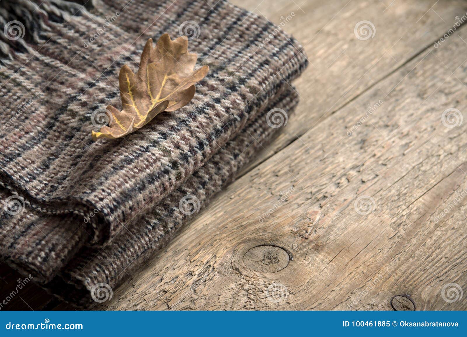 Autumn. Checkered Plaid with Dry Leaf. Stock Image - Image of plaid ...