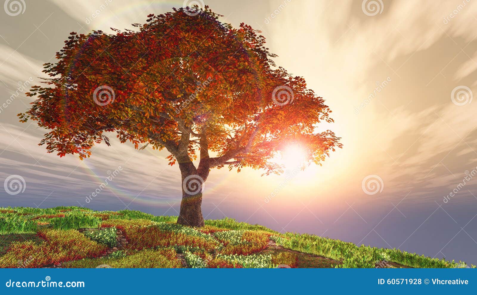 autumn cherry tree on hill against the sun