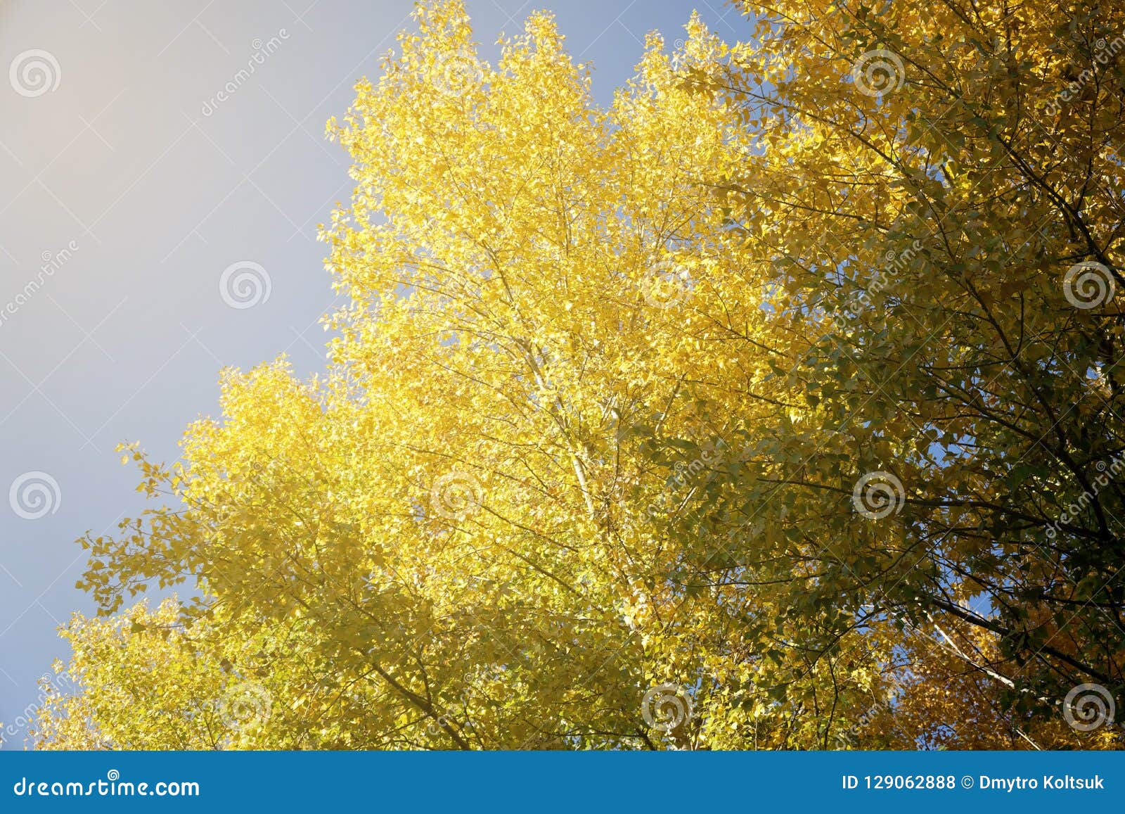 Autumn City Park Fall Colors, Four Seasons Stock Photo - Image of ...
