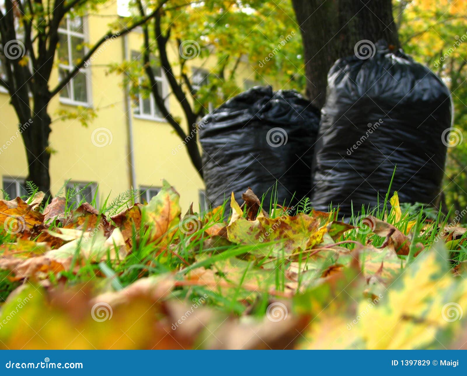 Black Garbage Bags And Tree Of Hope Stock Photo - Download Image Now - Bag,  Black Color, Business Finance and Industry - iStock
