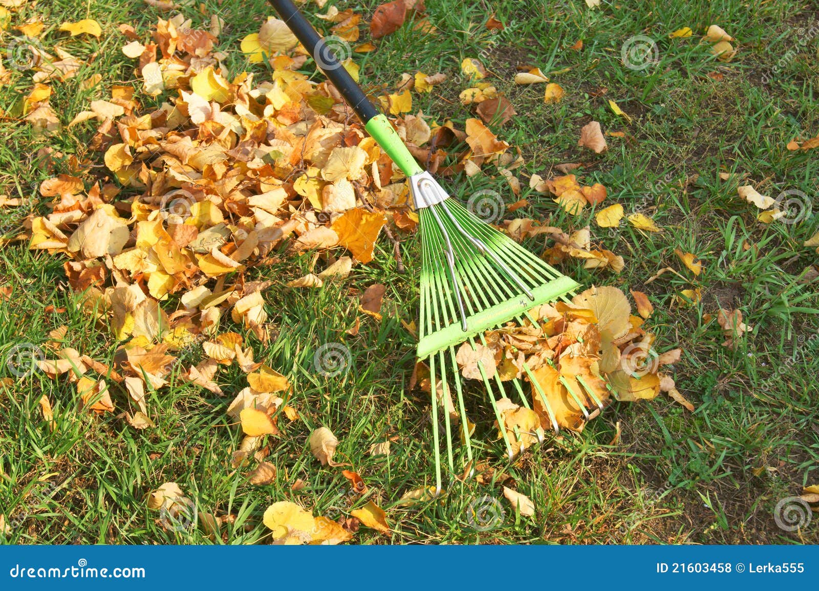 Autumn. Cleaning Leaves Royalty Free Stock Photos - Image: 21603458