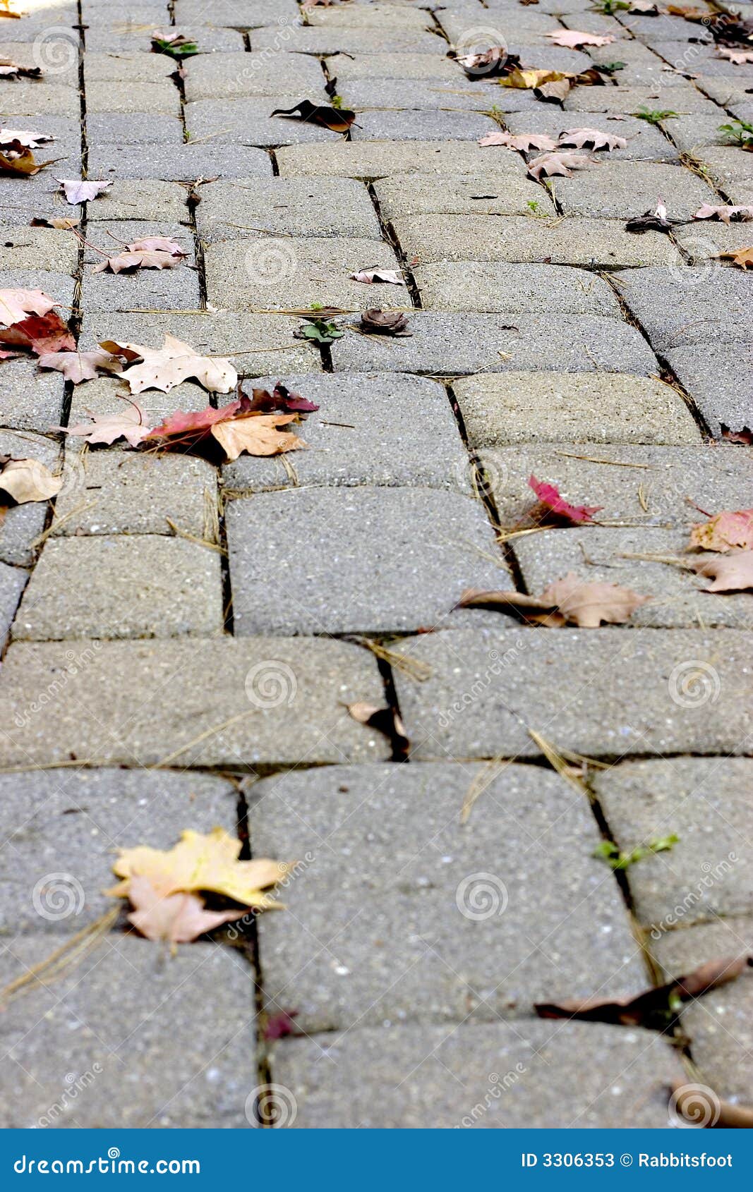 autumn cobblestone walkway