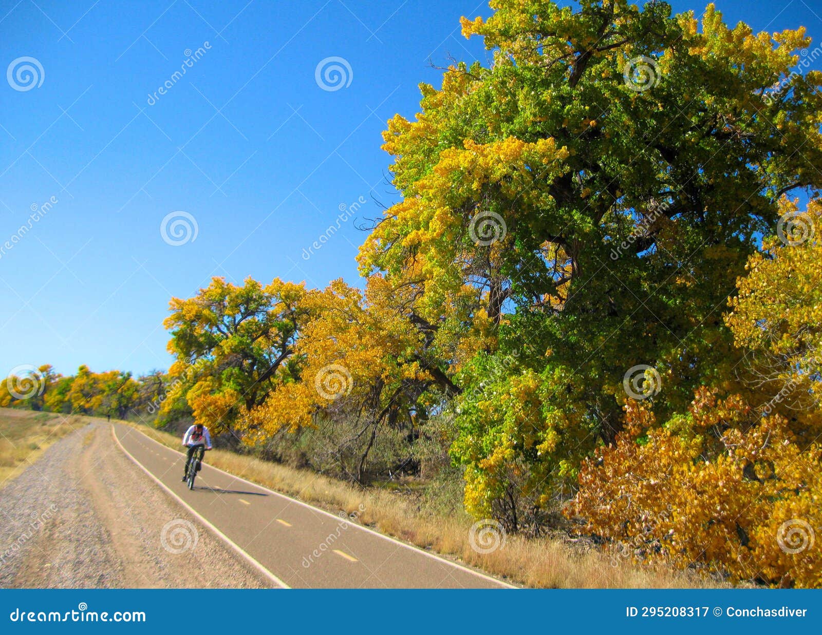 autumn color on the bosque bike trail