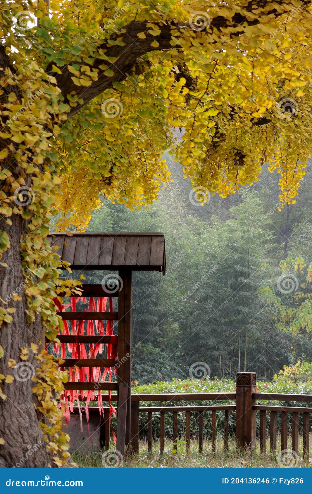 the color of autumn
