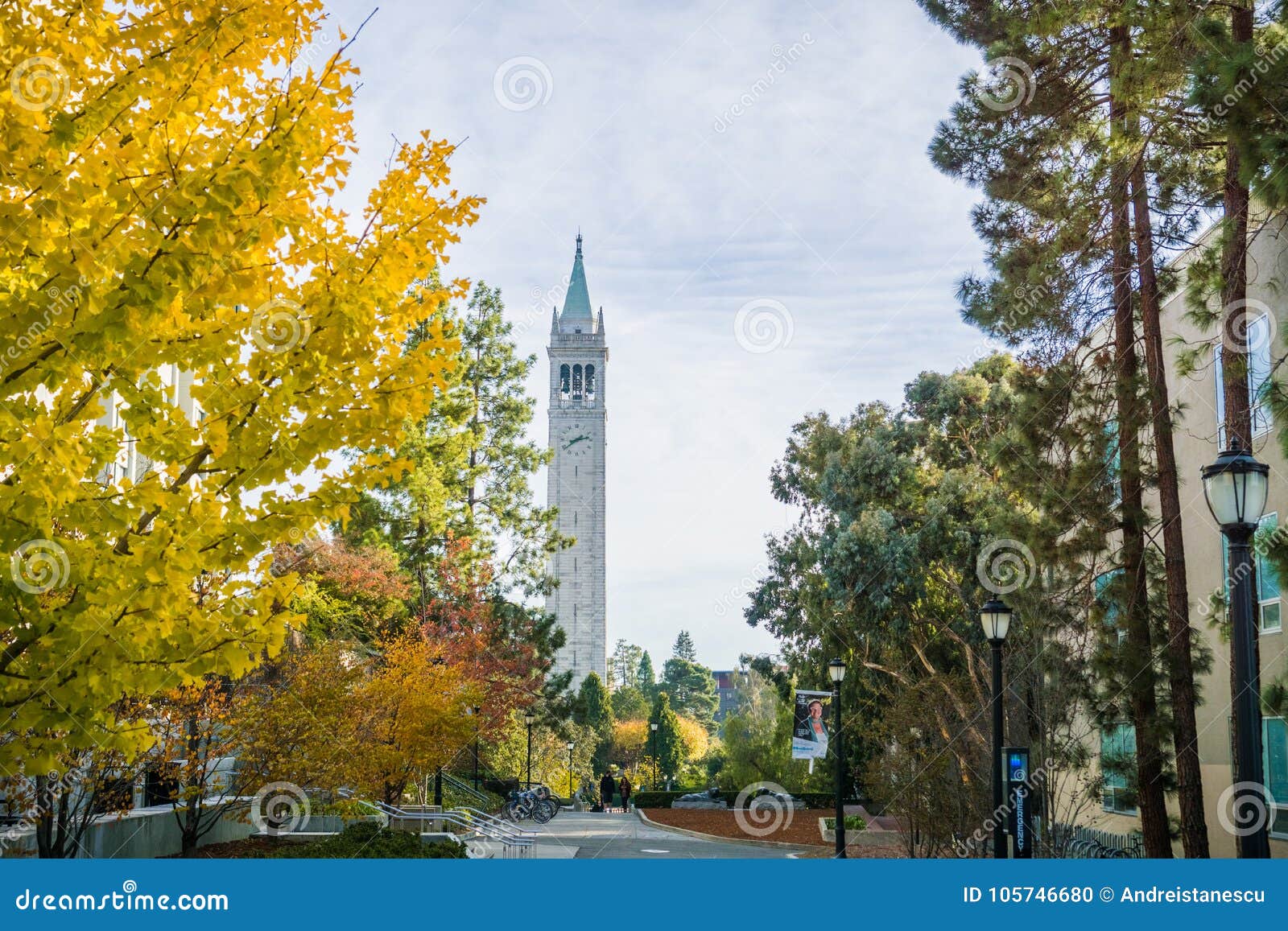 Autumn Colored Trees in the UC Berkeley Campus Editorial Image Image
