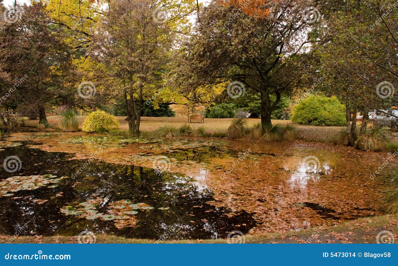 Autumn colors stock photo. Image of central, adventure - 5473014