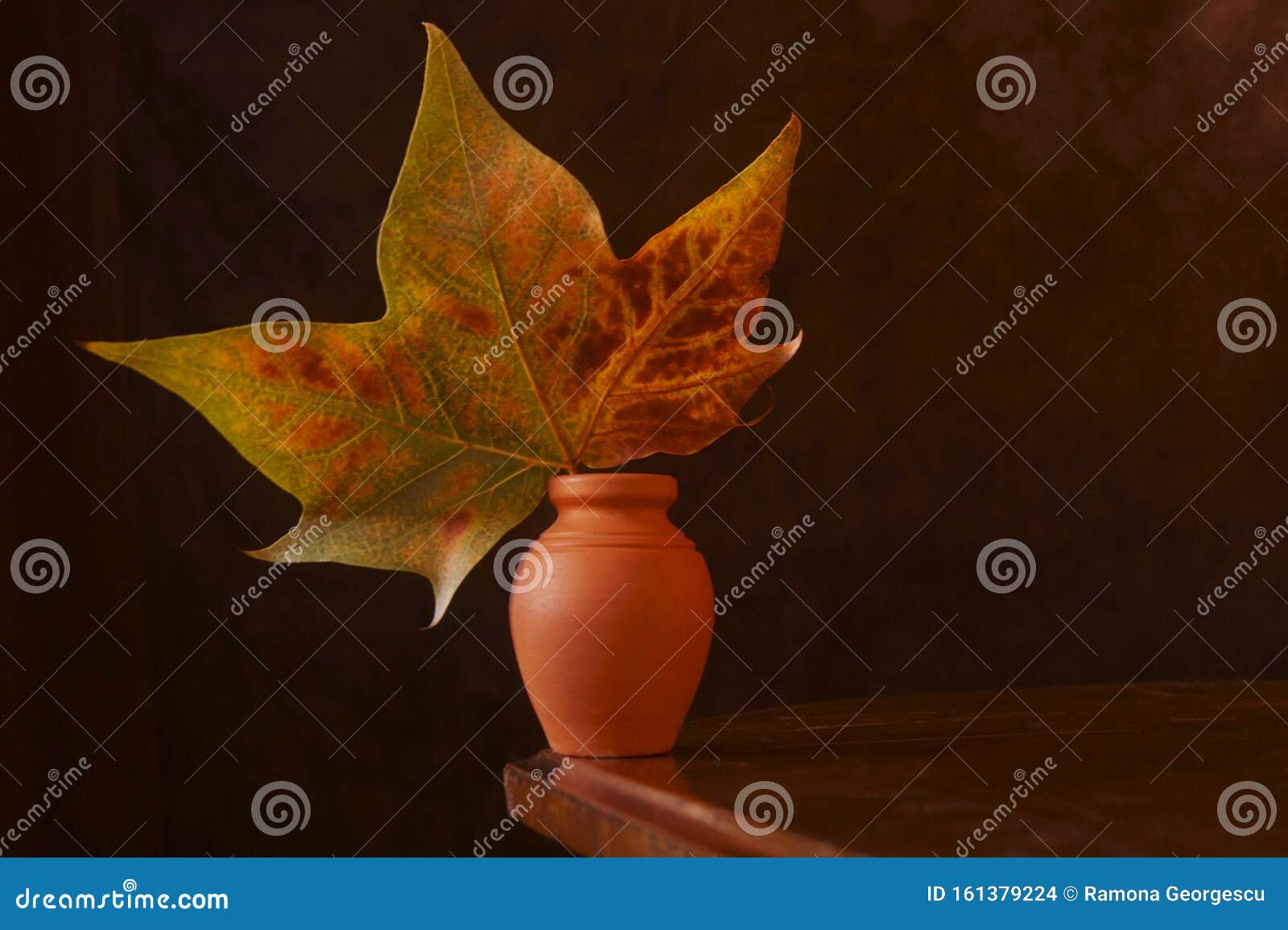 Autumn Colors Arrangement with Rusty Leaf Stock Photo Image of arrangement, brown 161379224