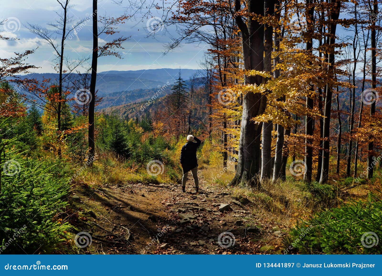 Autumn of colors editorial photography. Image of beskidy - 134441897