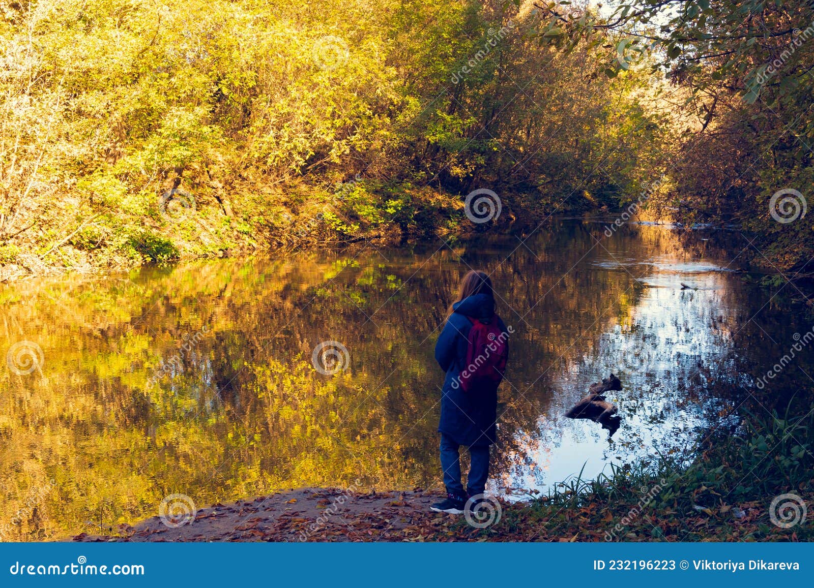 Autumn Colors, in the Bosom of Nature, are Reflected in the Waters of River. Stock Image - Image of bank, morning: 232196223