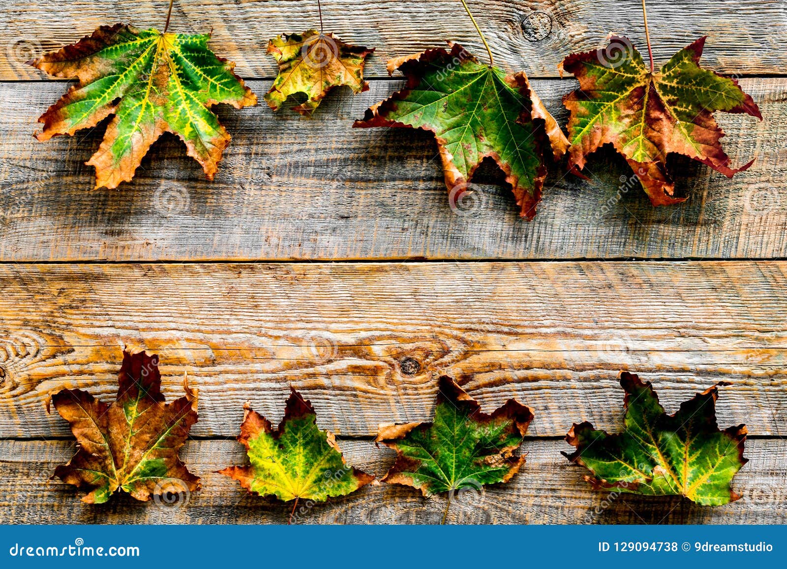 Download Autumn Colors Concept. Mockup With Yellow Leaves On Wooden Background Top View Copy Space Stock ...