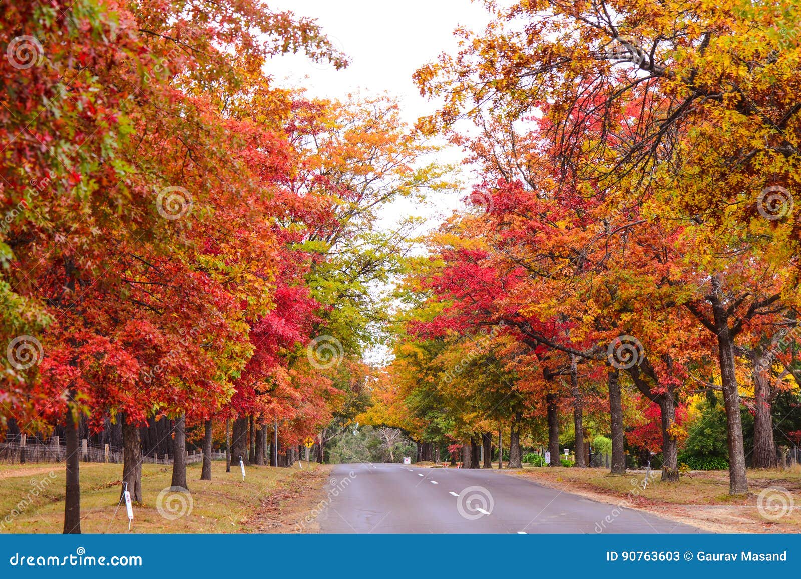 autumn colors in countryside