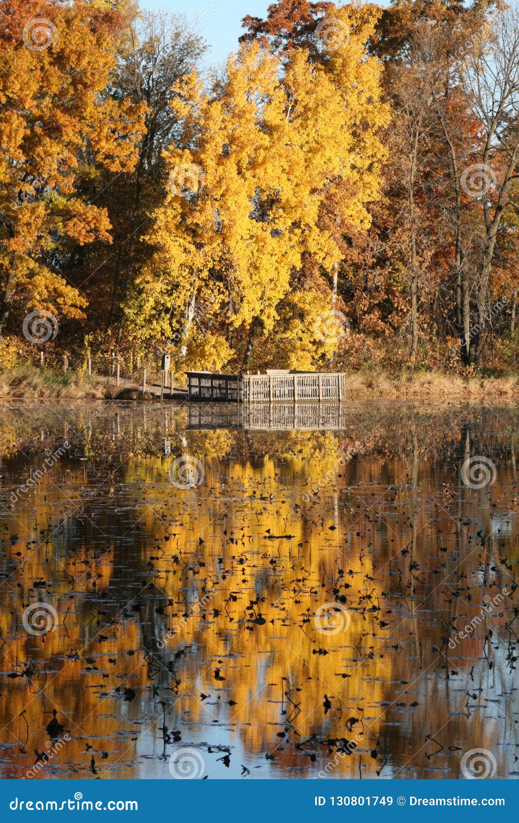 Autumn Colors in Minnesota. Stock Image - Image of beautiful, trees