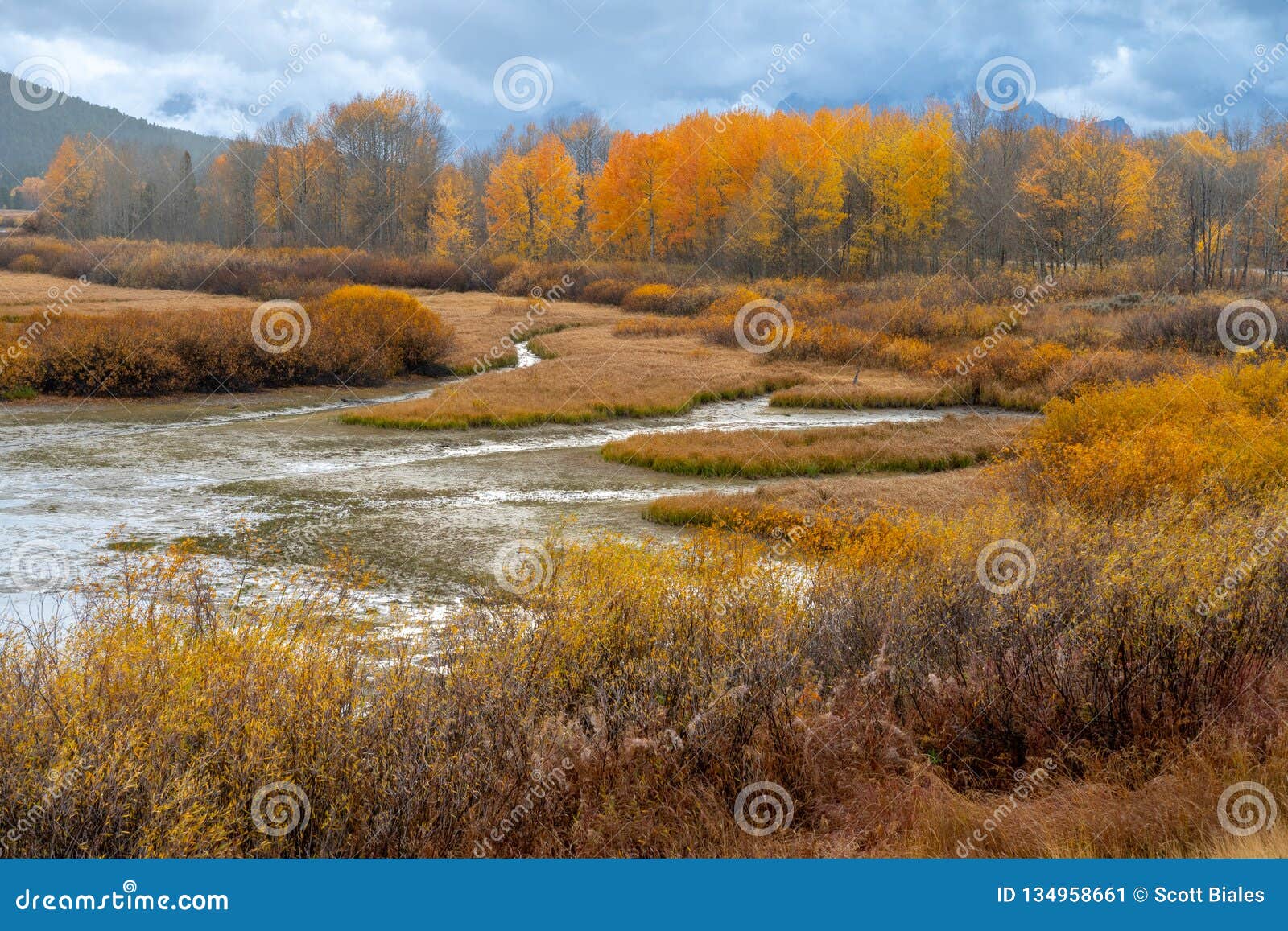 Autumn Colors Of Mountain And Lake In The Grand Tetons, National Park