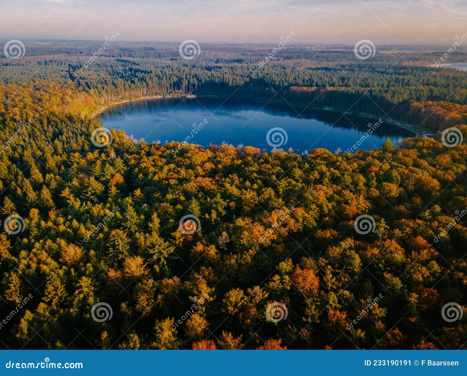 autumn colors with orange red trees in october at national park drentsche aa, colorful autumn trees in the netherlands