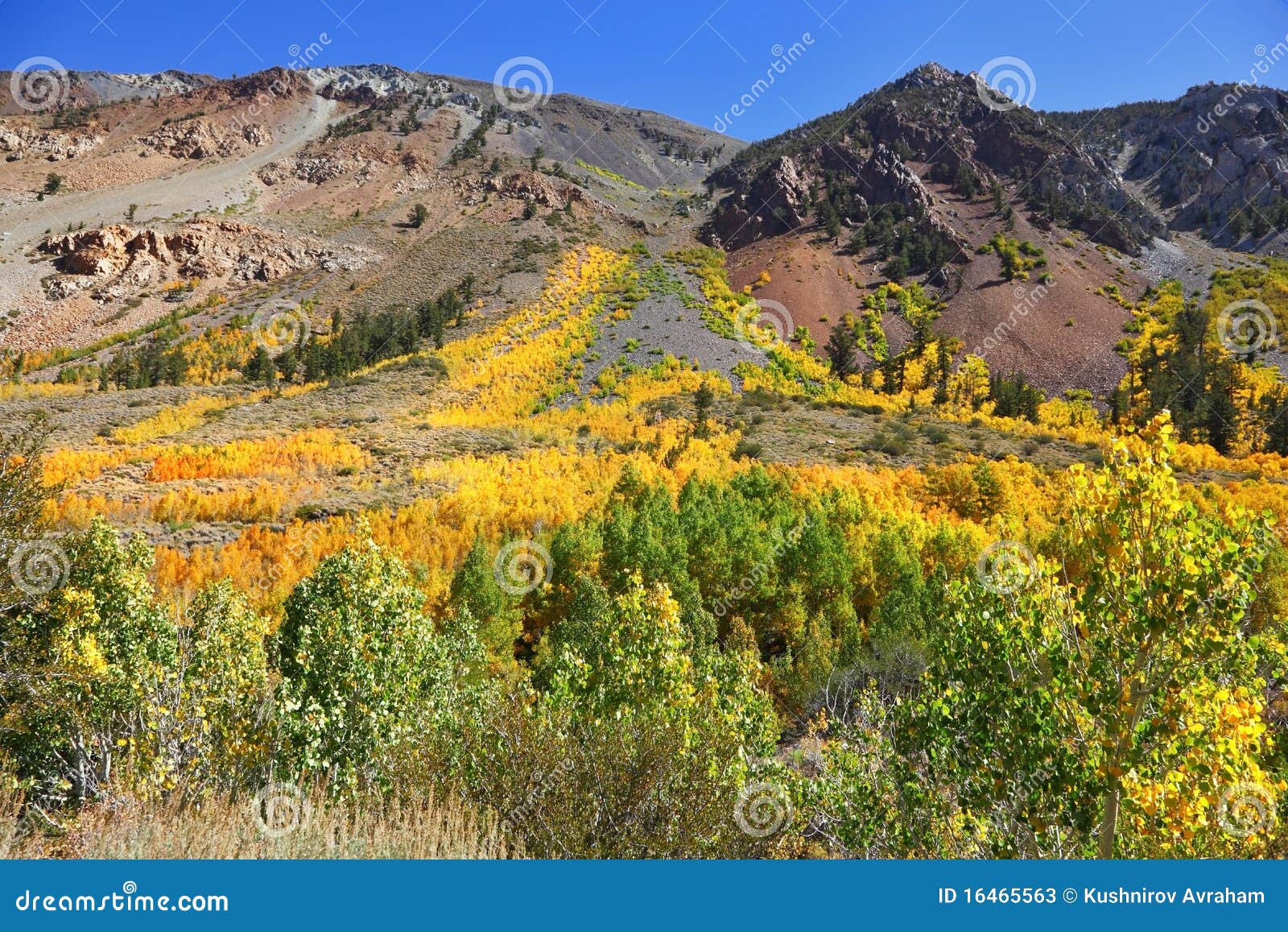 The Autumn Colors of Orange, Red and Yellow Stock Image - Image of