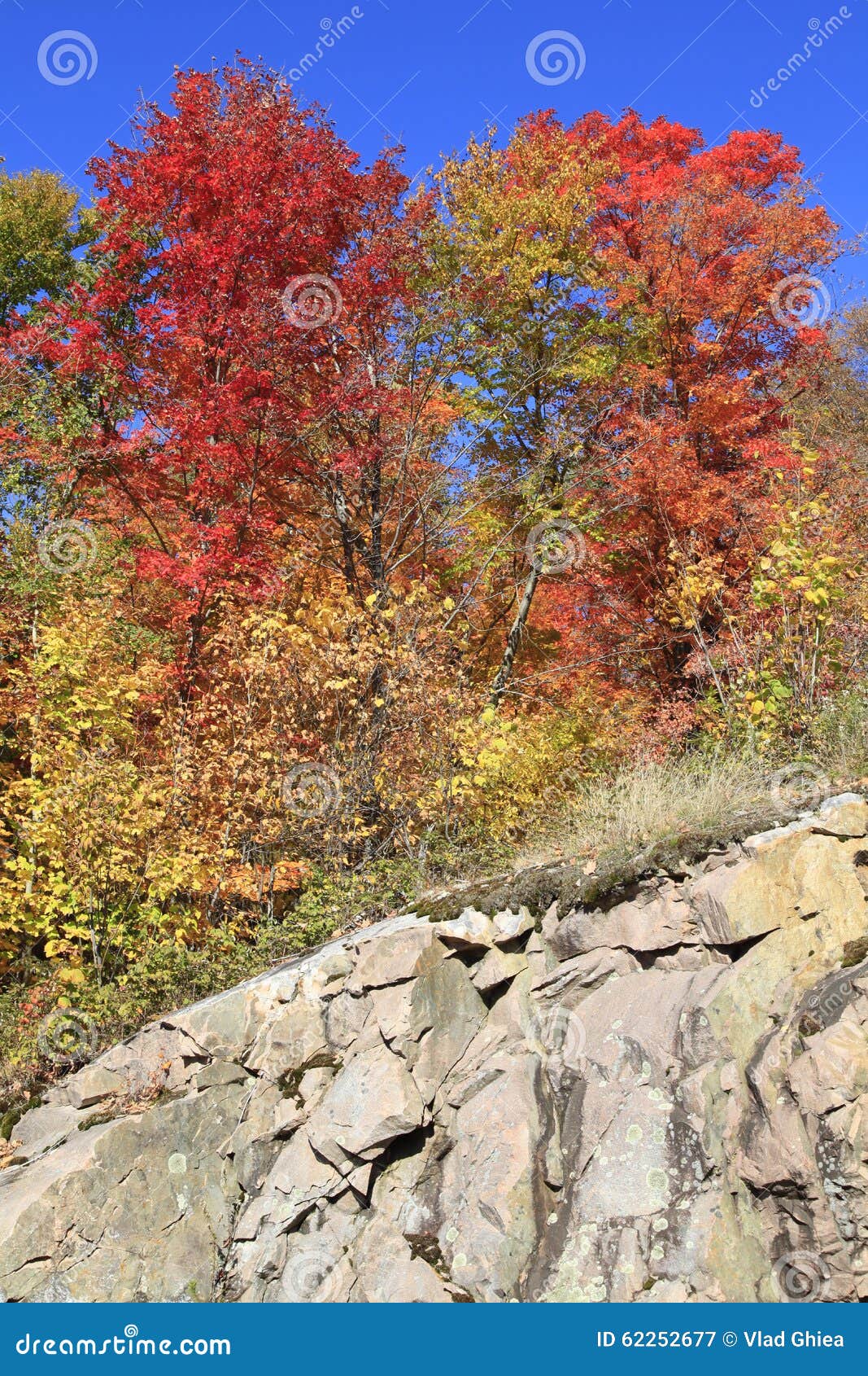 Autumn colors, Quebec stock image. Image of colorful - 62252677