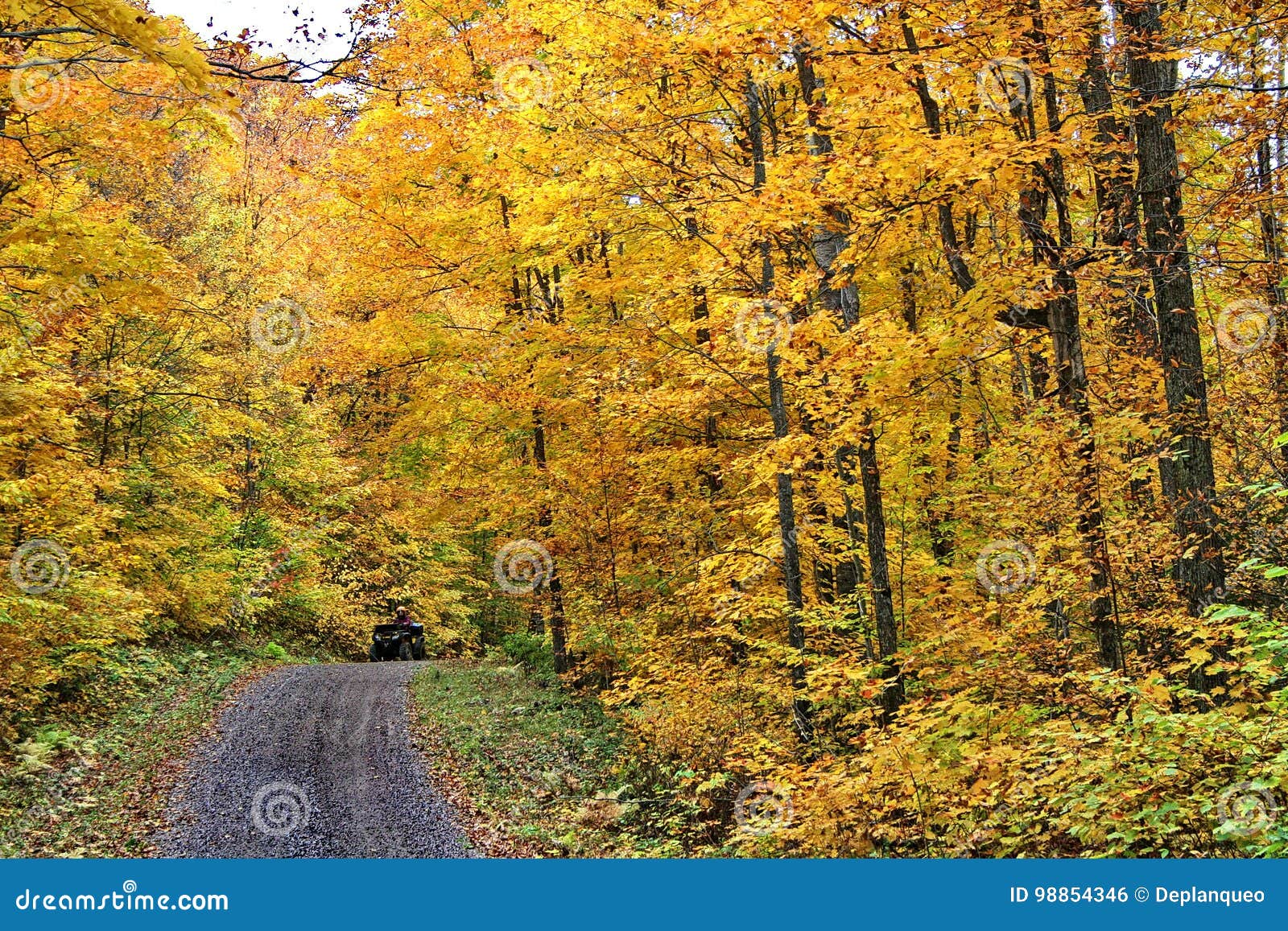 Autumn Colors in Quebec, North America Stock Photo - Image of automne