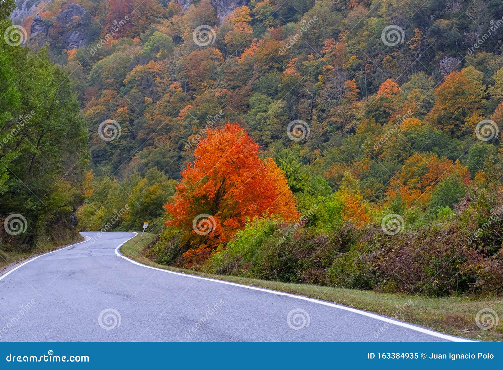 autumn colors on a road in the valley of arce, navarra
