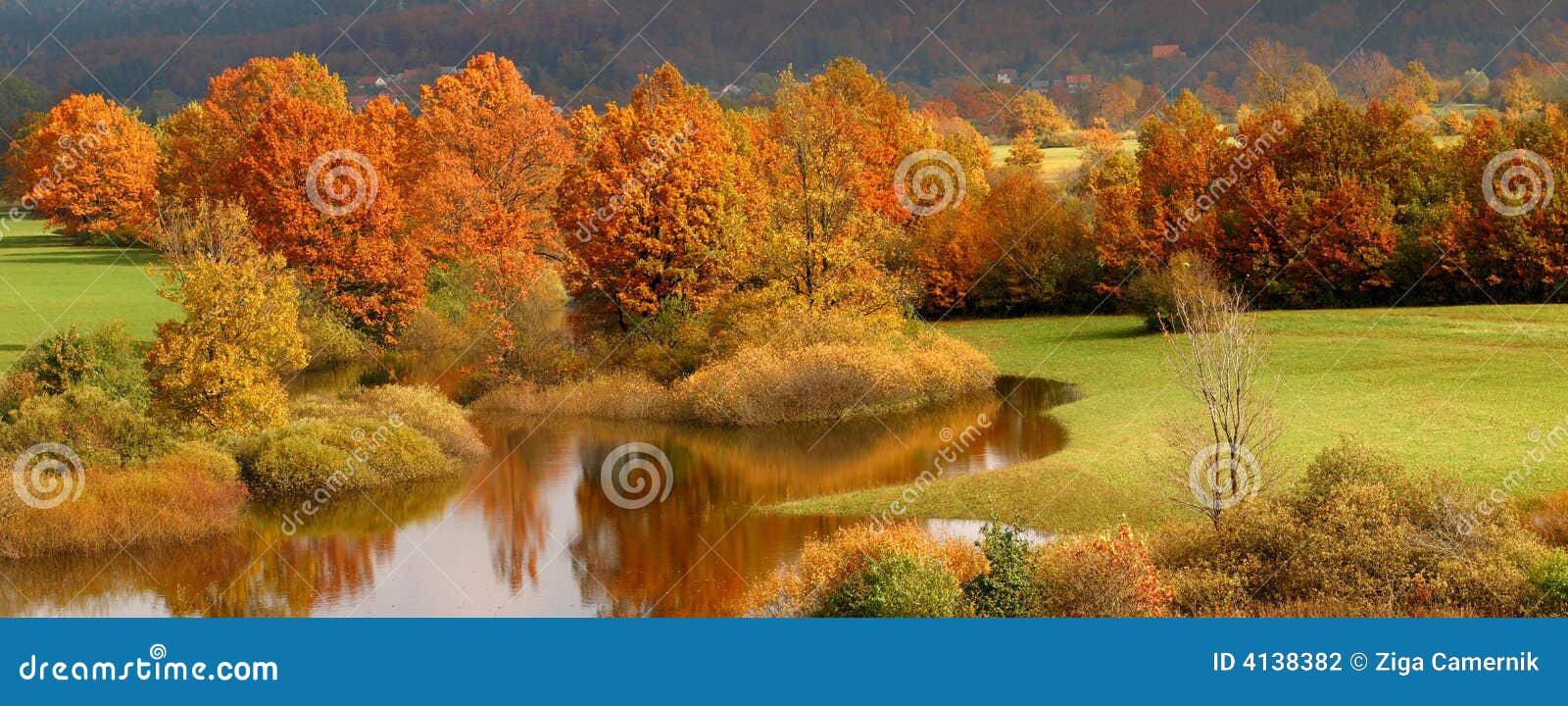 Autumn coloured trees stock photo. Image of tree, forest - 4138382
