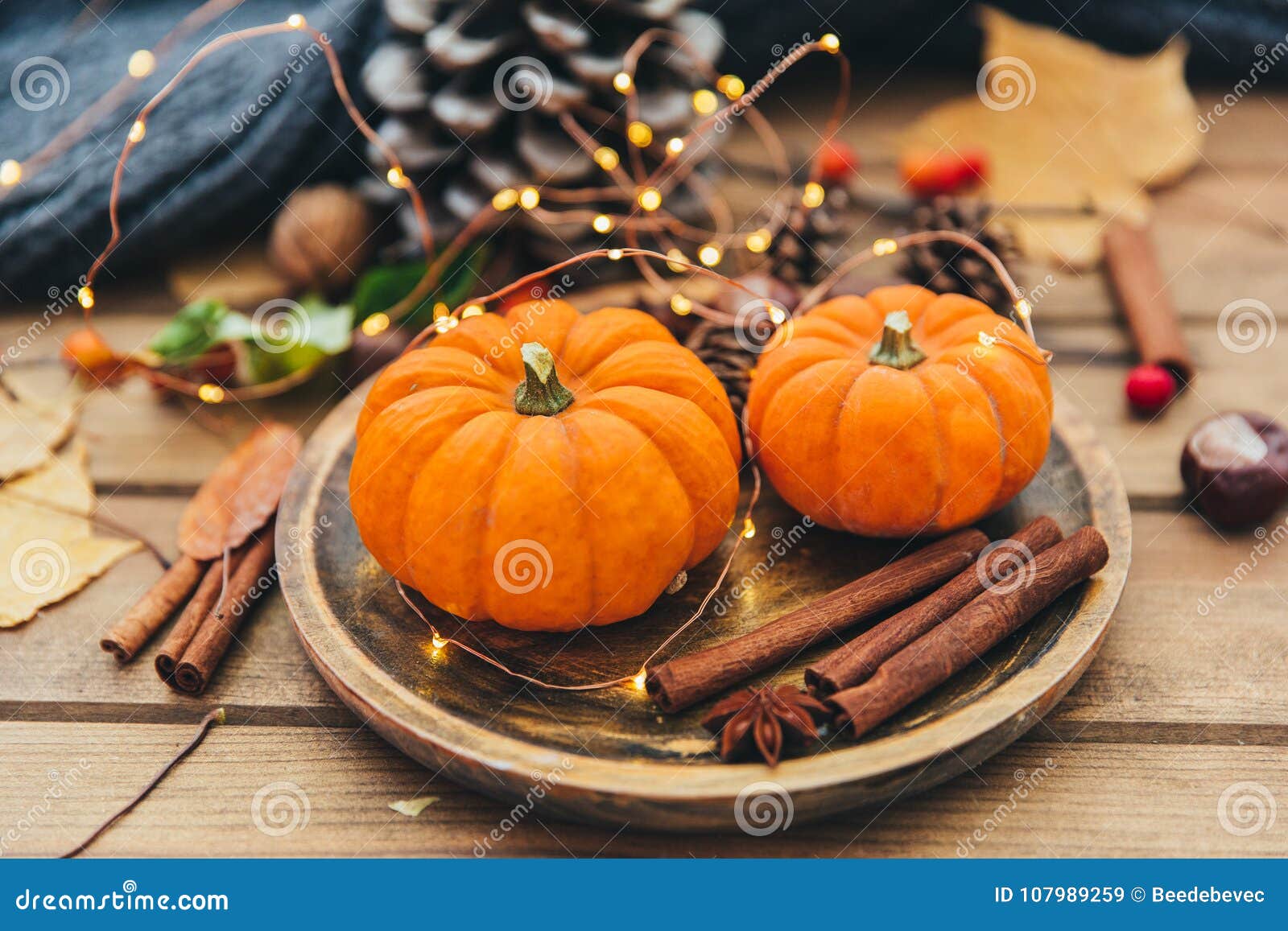 autumn composition. pumpkin and cinnamon