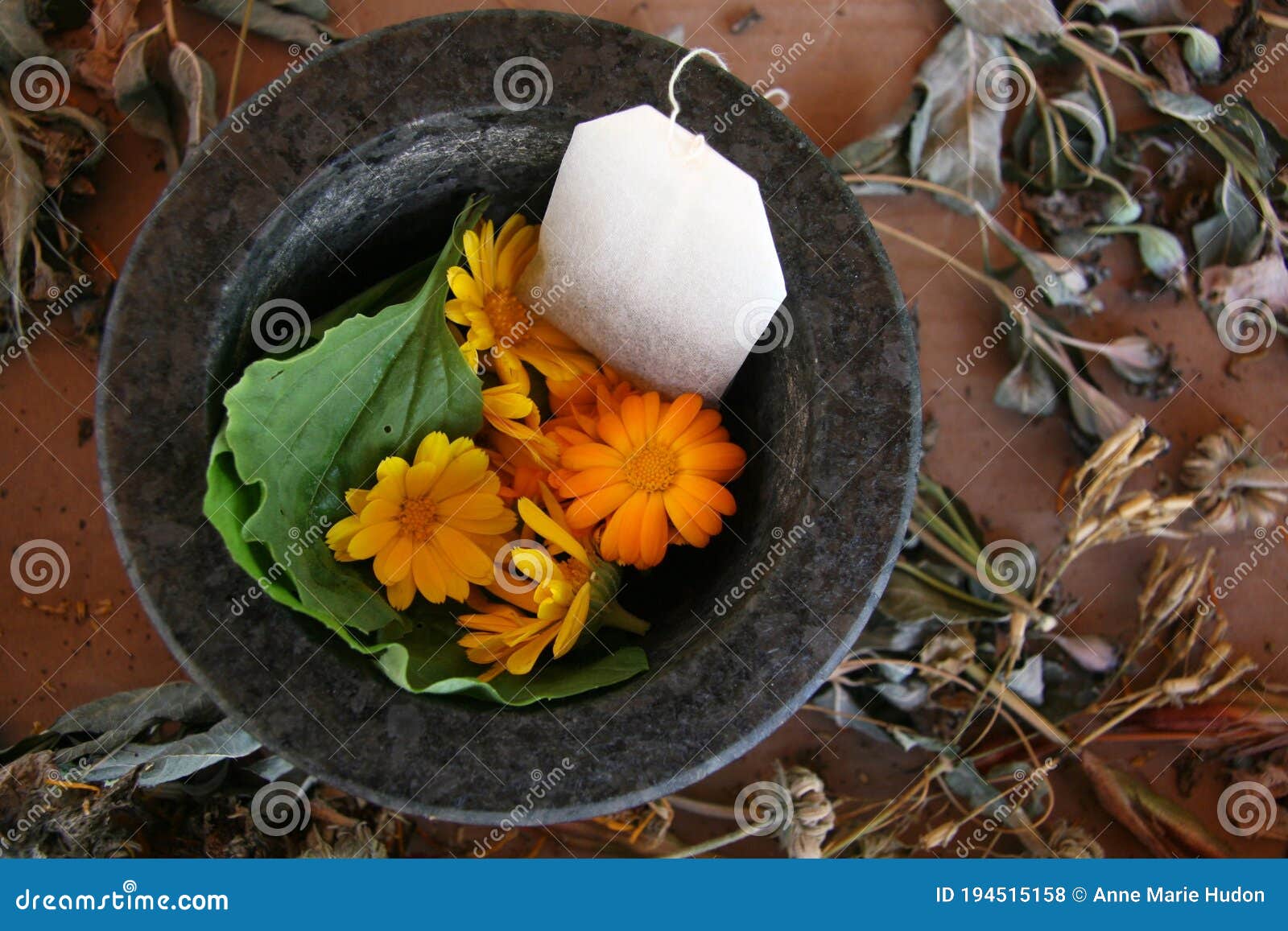 Organic Dried Calendula Flowers | PNWApothecary