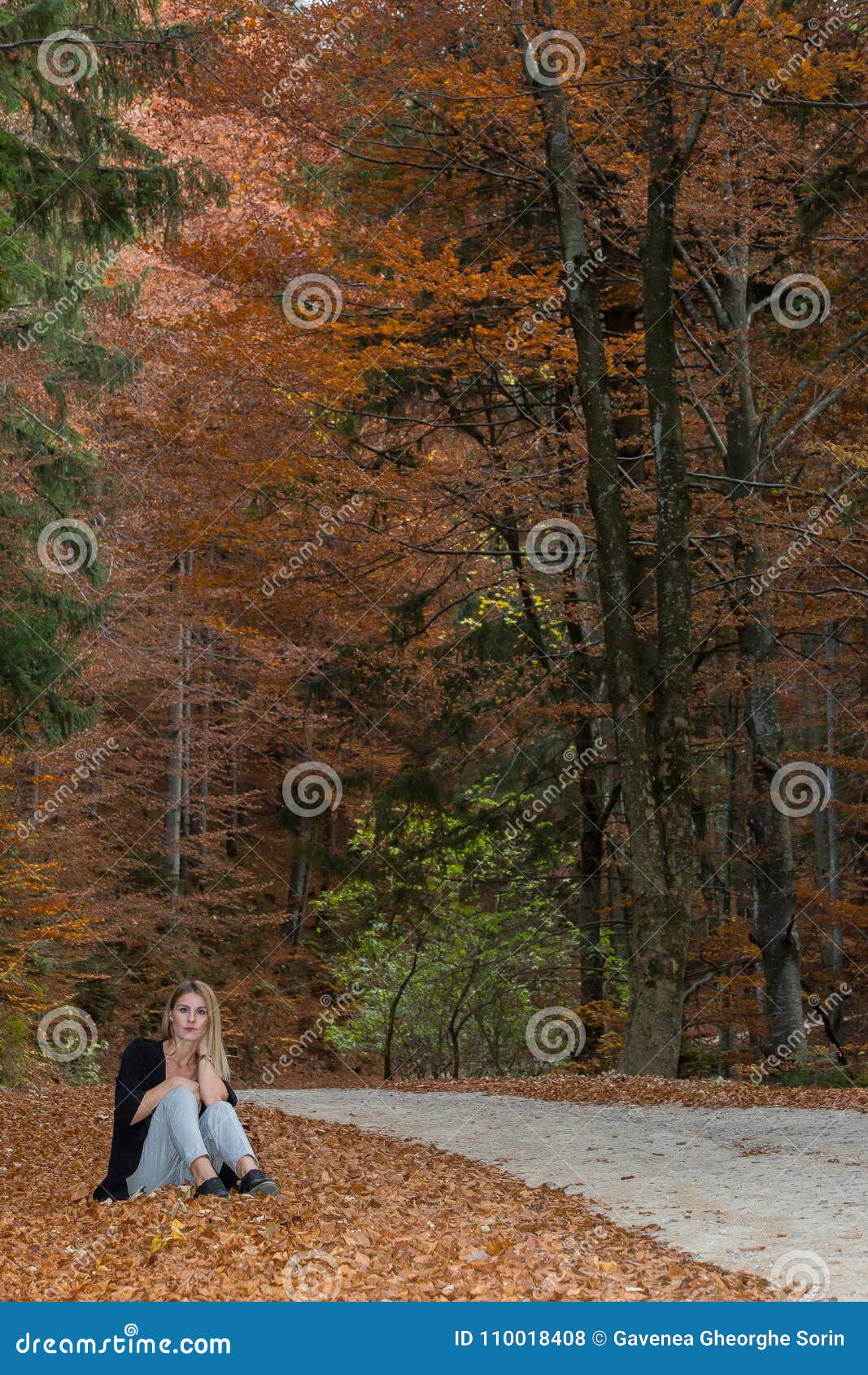 A Fall Day Through The Woods Somewhere In Transylvania With A Beautiful Girl Stock Photo Image Of Background Great A Fall Day Through The Woods Somewhere In Transylvania With A Beautiful Girl Stock Photo Image Of Background Great