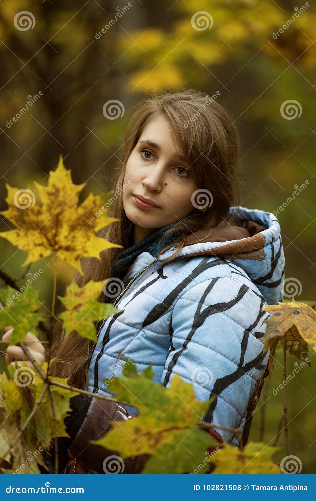 Portrait of a Girl in a Forest with a Maple Tree. Stock Photo - Image ...