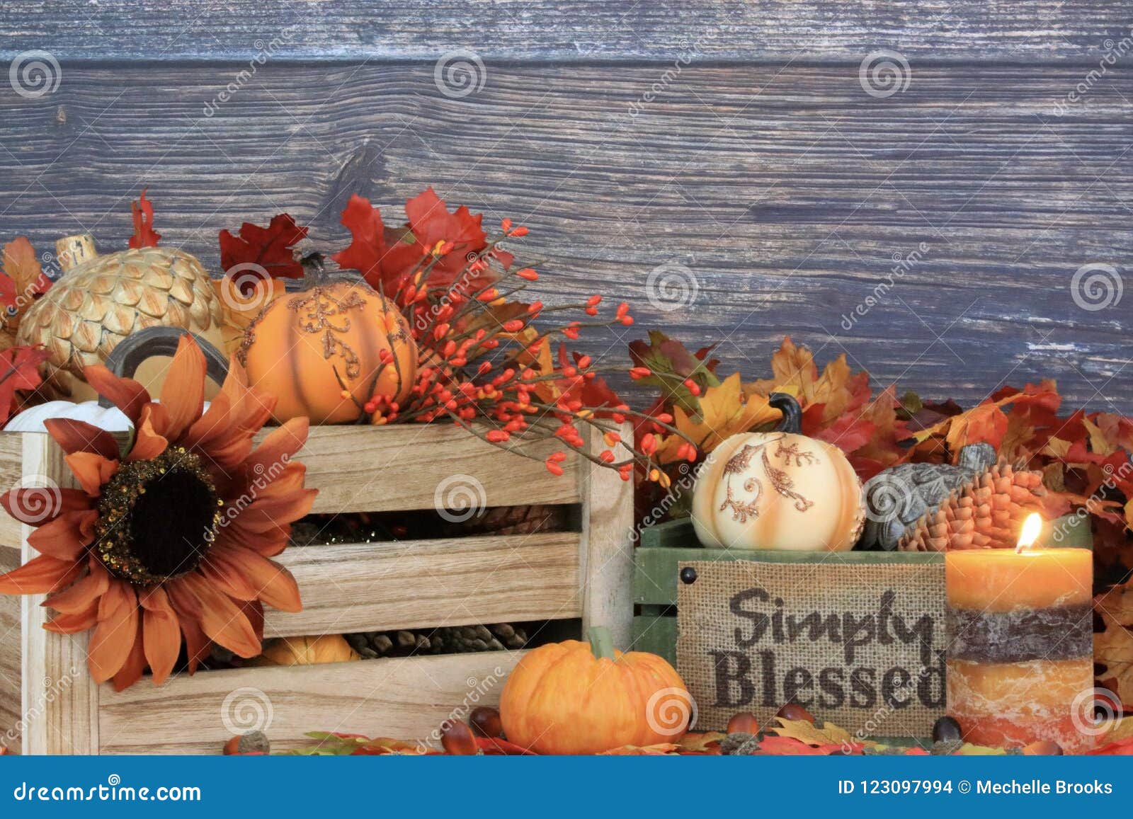Autumn Decor With Copy Space Stock Photo Image Of Acorns