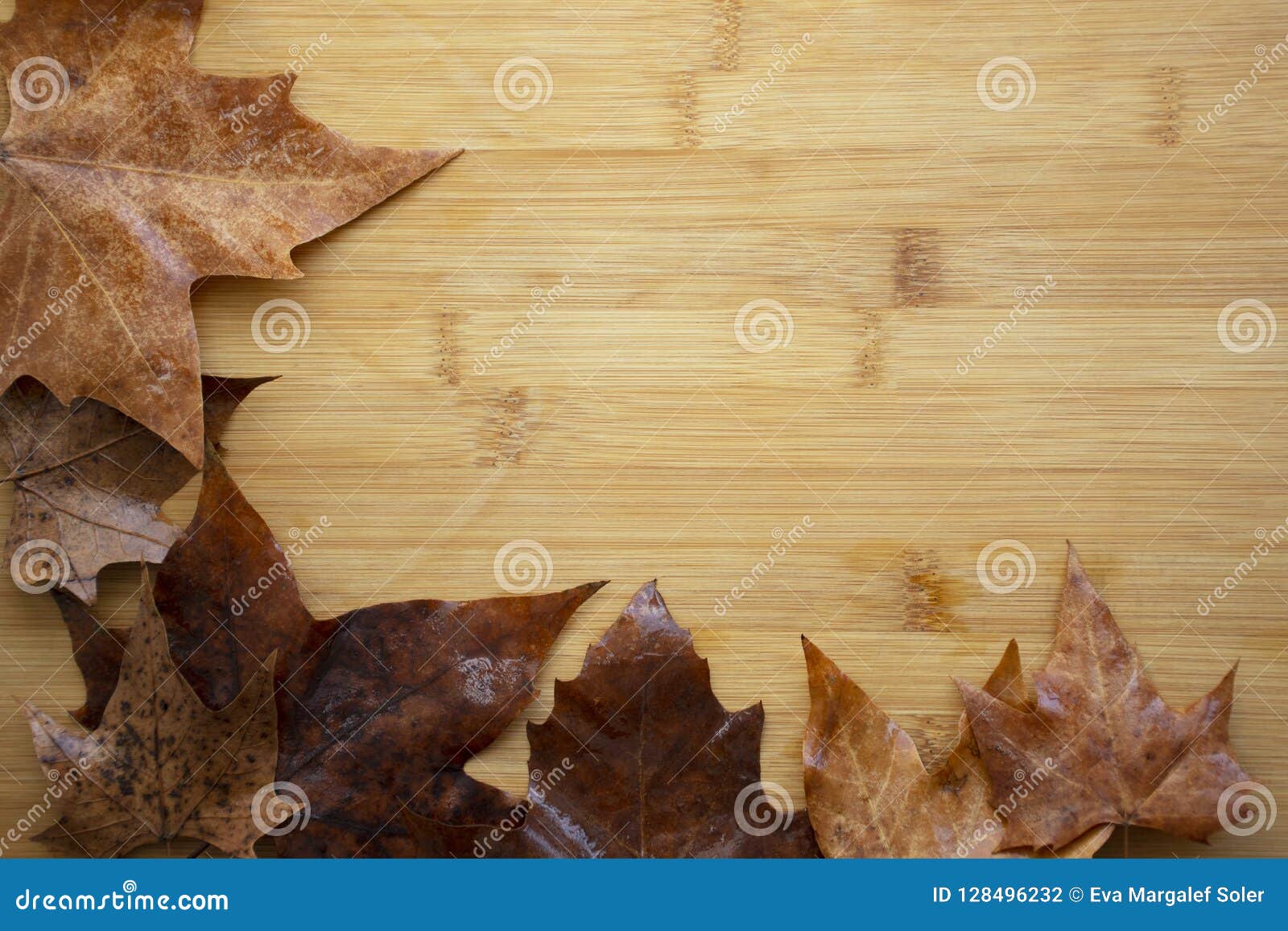 Autumn Dry Leaves Background Stock Photo - Image of dried, white: 128496232