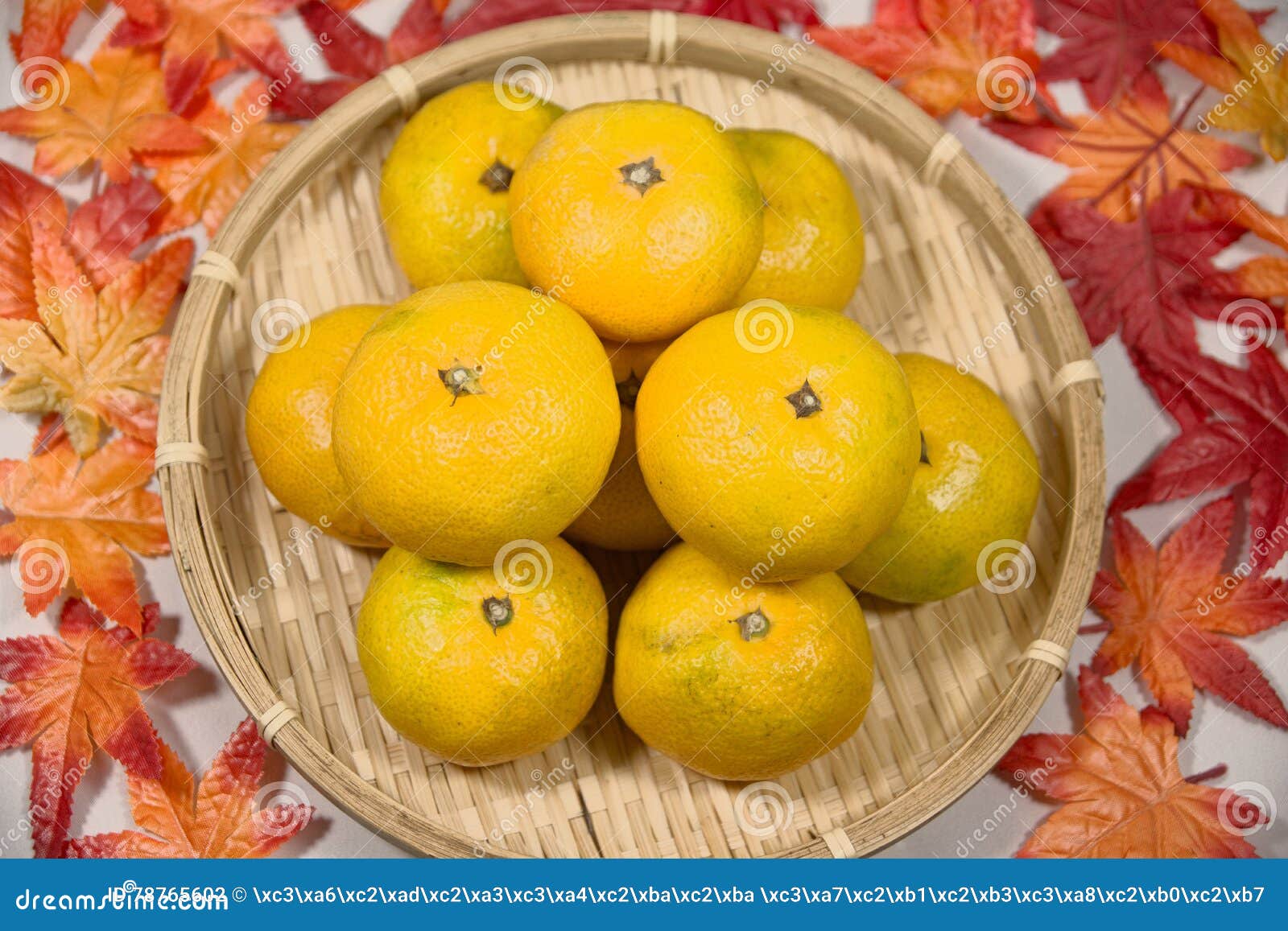 Autumn of Early Oranges of Japan Stock Photo Image of oranges, mandarin 78765602