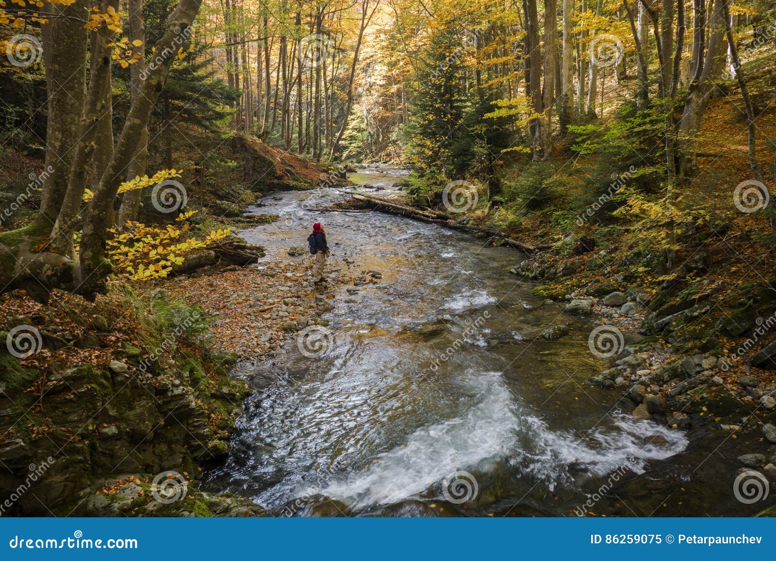 Autumn exploration stock image. Image of lifestyle, peaceful - 86259075