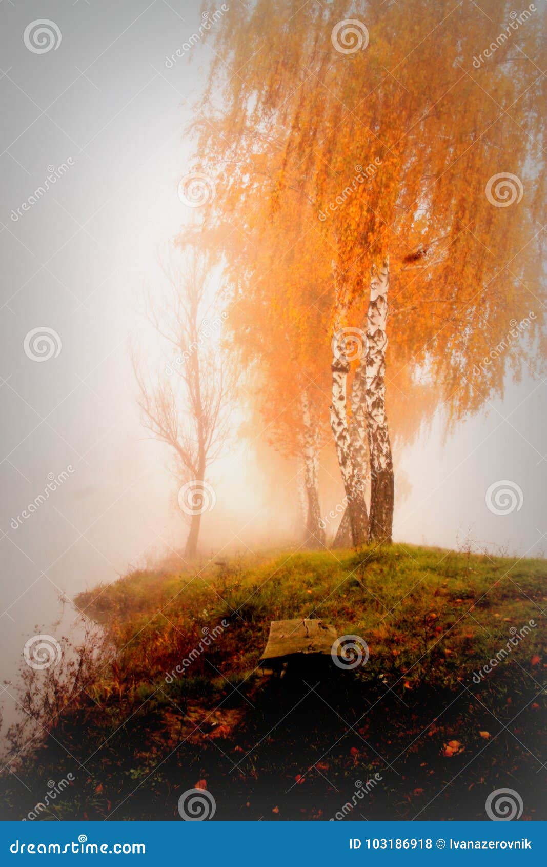 Autumn fairy tale stock photo. Image of morning, nature - 103186918