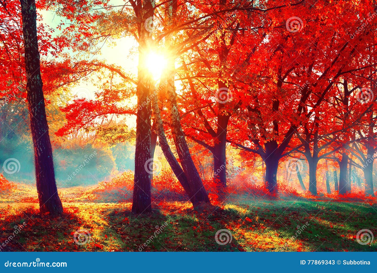 Featured image of post Nature Sun Images Download - Sun, burning sun, nature, space png.