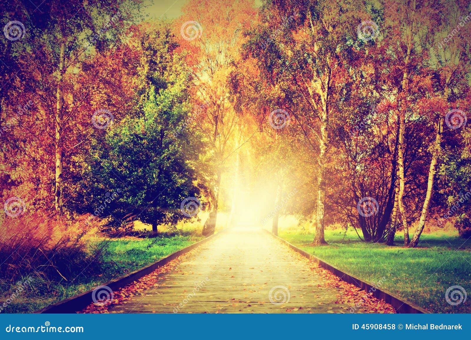 autumn, fall park. wooden path towards light