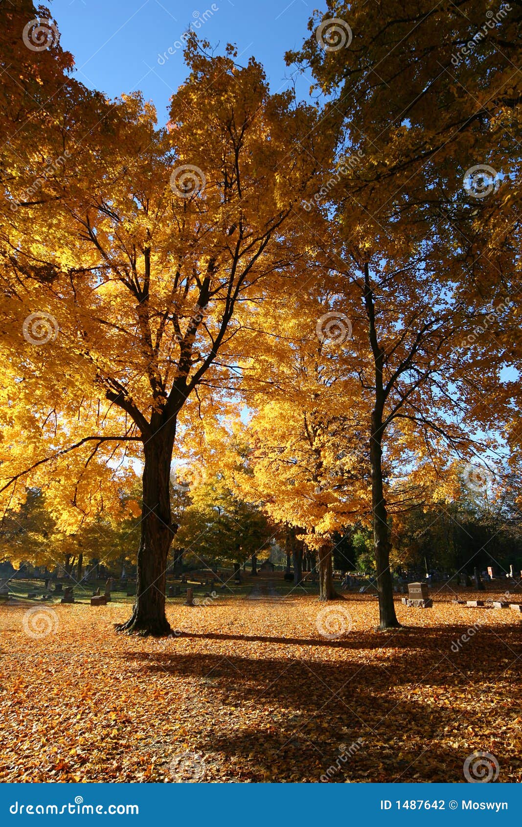 autumn falls anal fuck autumn falls anal fuck