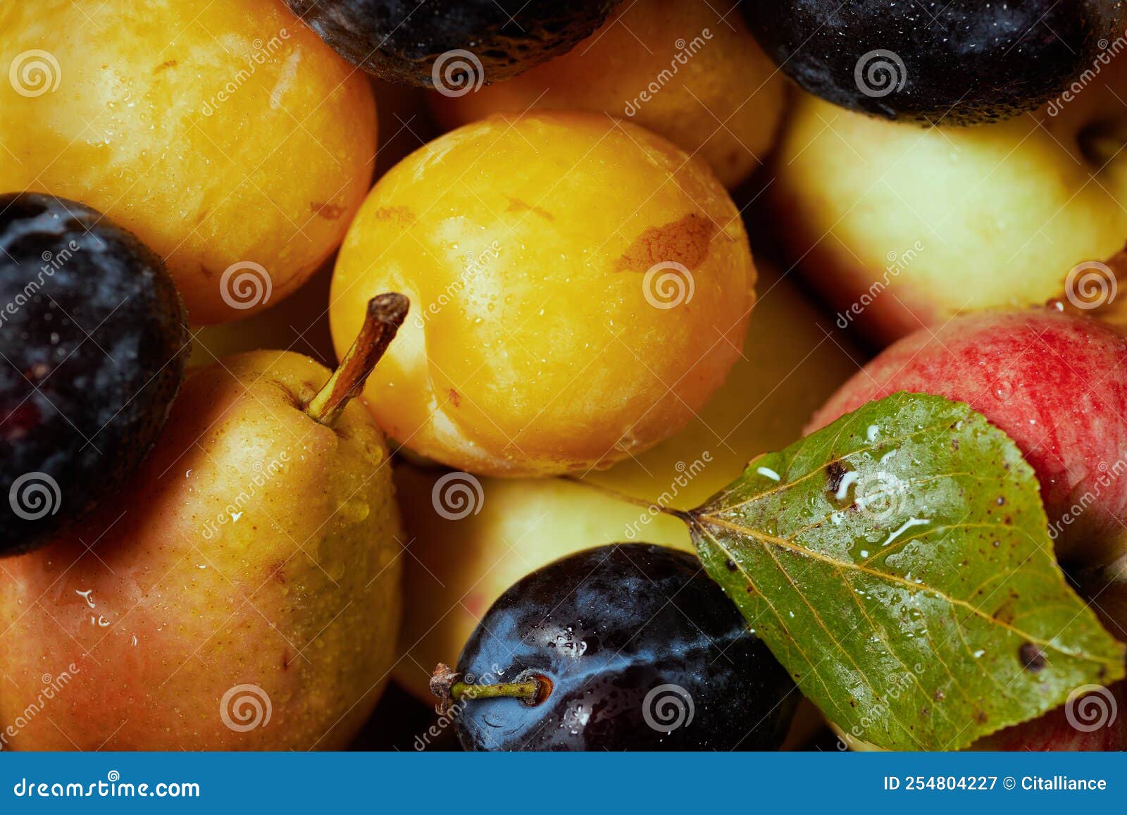 Autumn Flat Lay with Apples, Pears and Plums Stock Image Image of