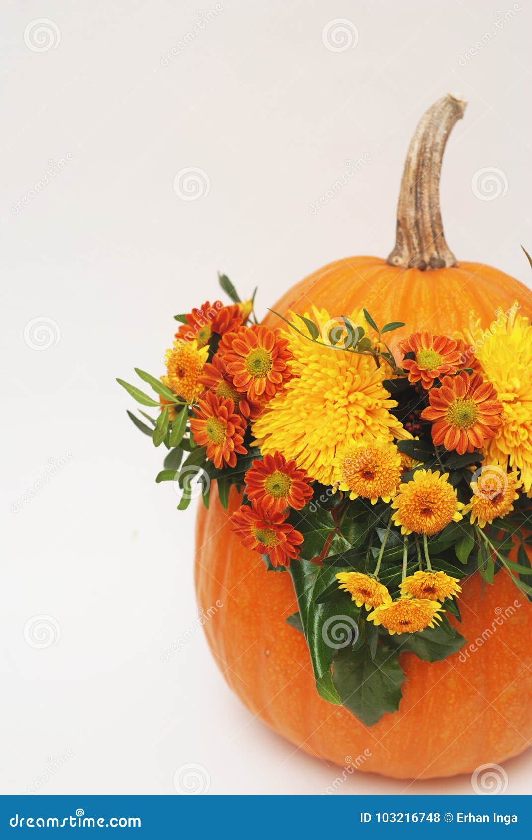 Autumn Floral Bouquet In A Pumpkin Vase For Autumn Or Halloween Floral Arrangement In Pumpkin Vertical Image Stock Photo Image Of Orange Nature 103216748