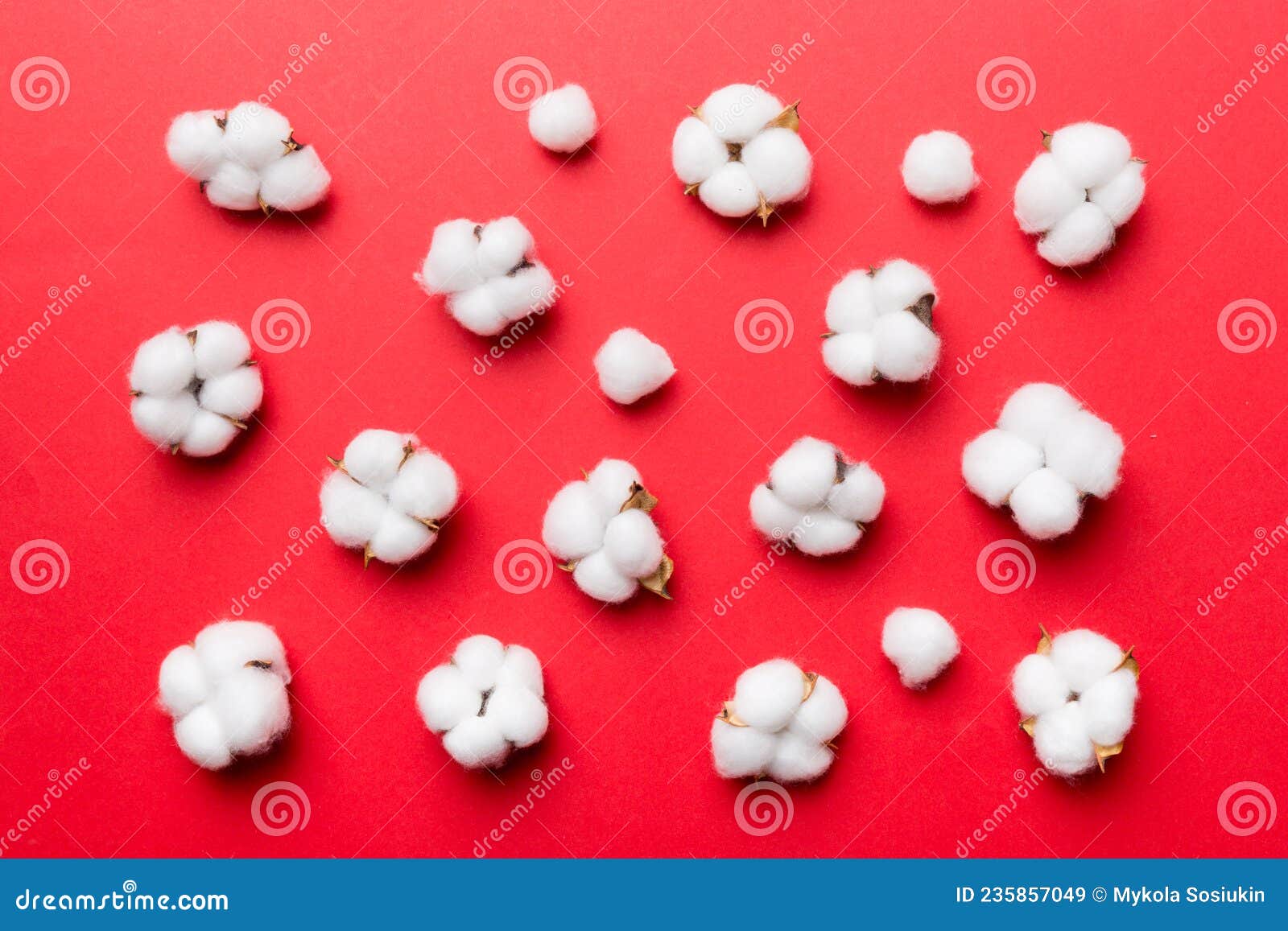autumn floral flat lay background composition. dried white fluffy cotton flower branchwith green leaf top view on
