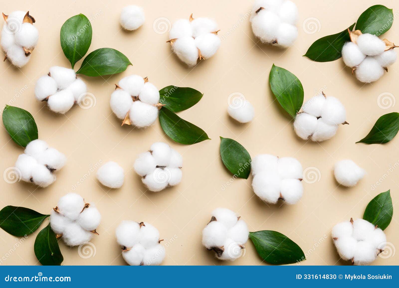 autumn floral flat lay background composition. dried white fluffy cotton flower branchwith green leaf top view on