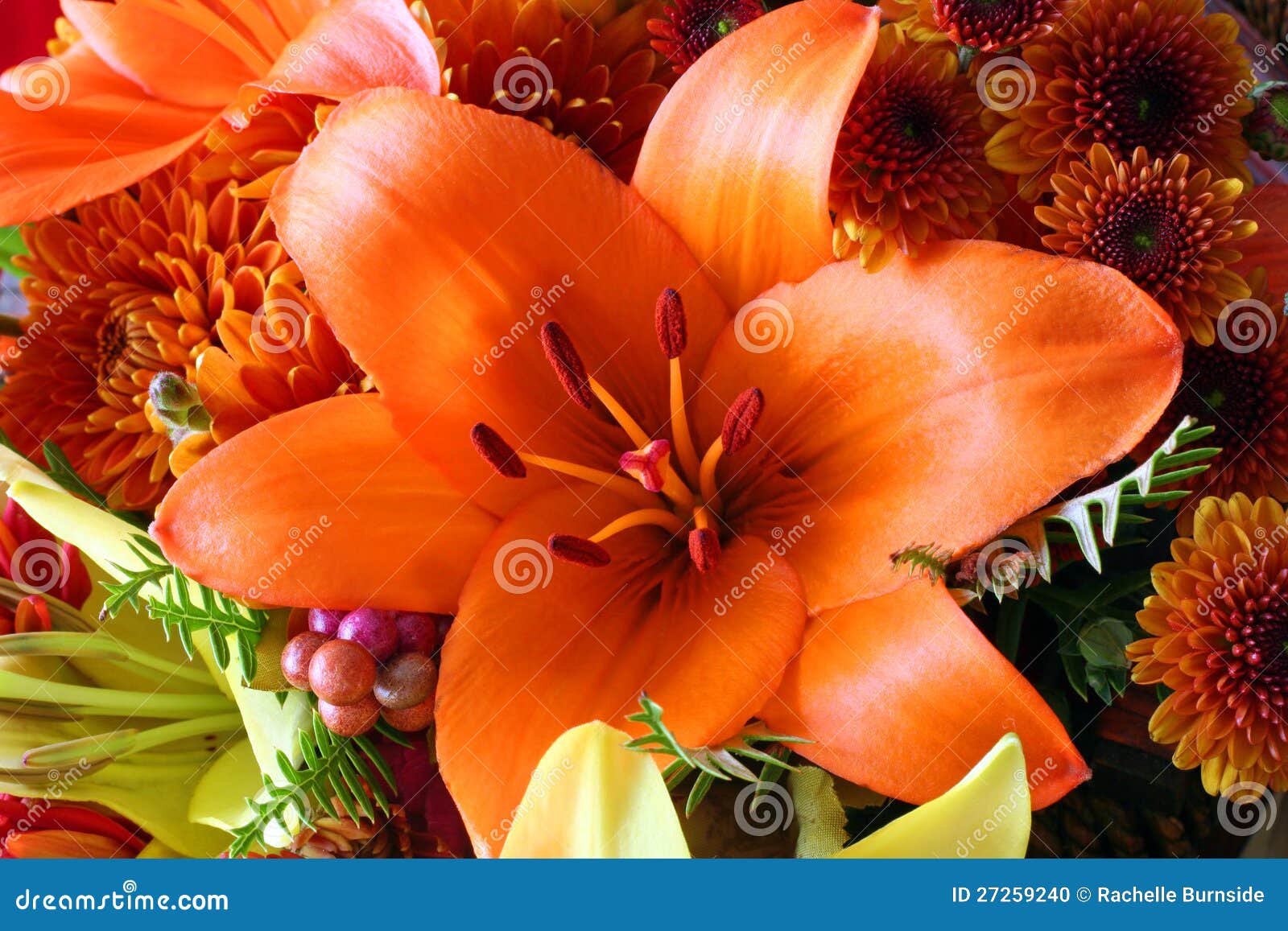 Autumn Flowers stock photo. Image of colorful, lily, chrysanthemums