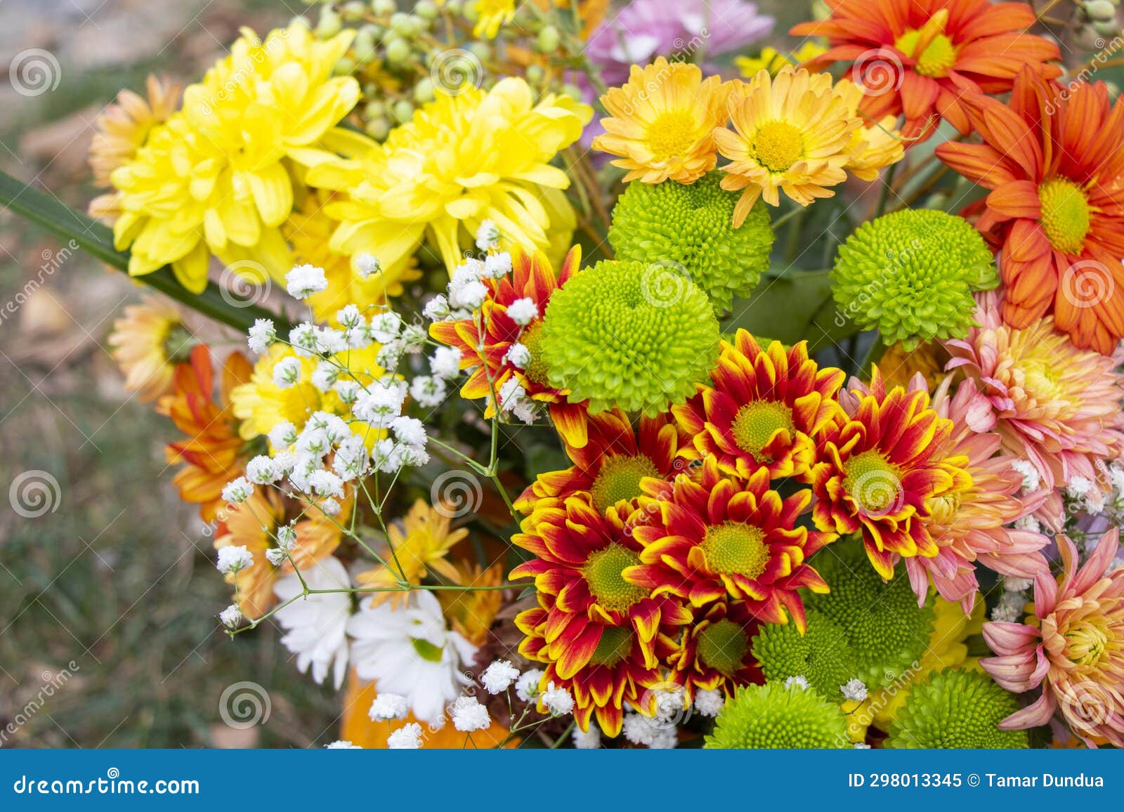 Autumn flowers bad stock image. Image of dahlia, design 298013345