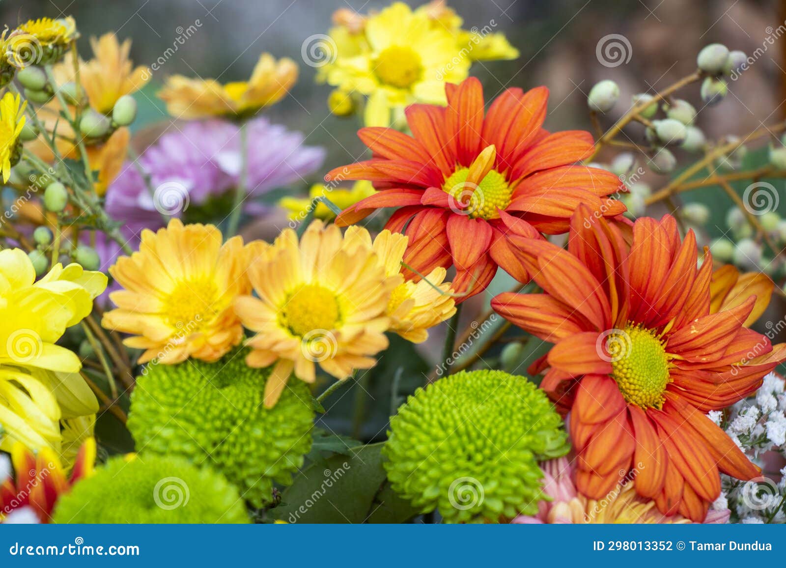 Autumn flowers bad stock photo. Image of vintage, decorative 298013352