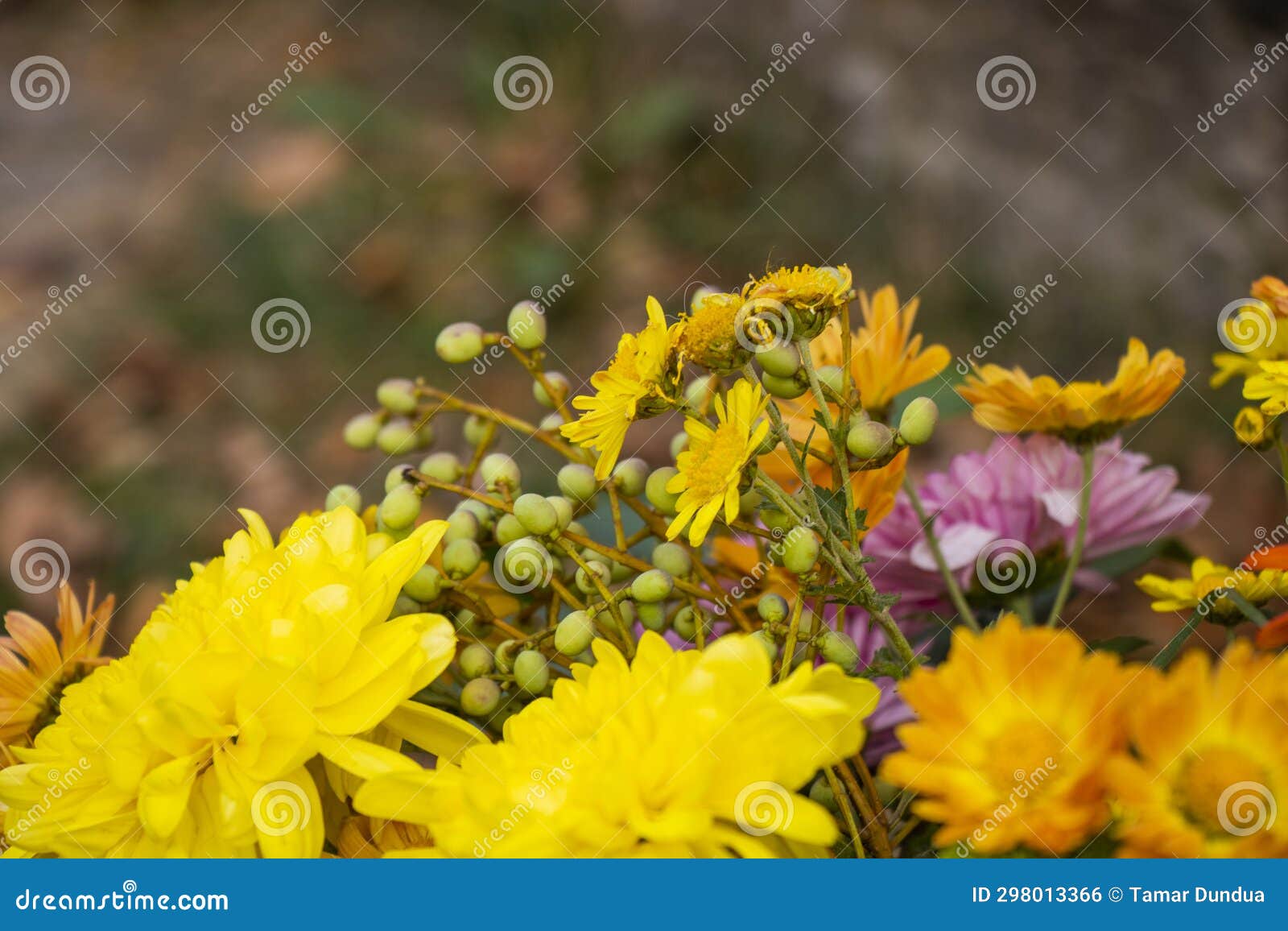 Autumn flowers bad stock photo. Image of wedding, floral 298013366