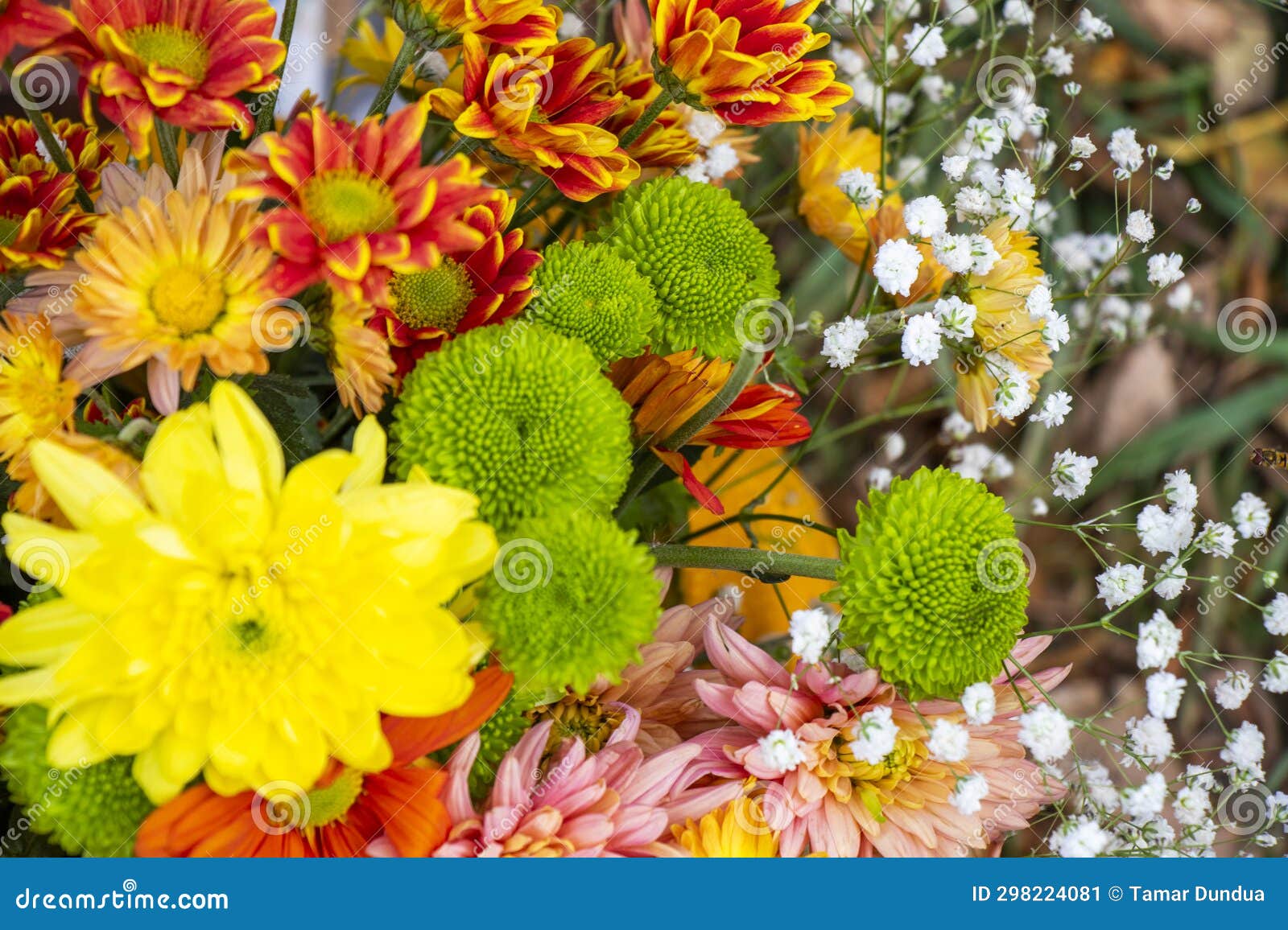 Autumn flowers bad stock image. Image of bouquet, plant 298224081