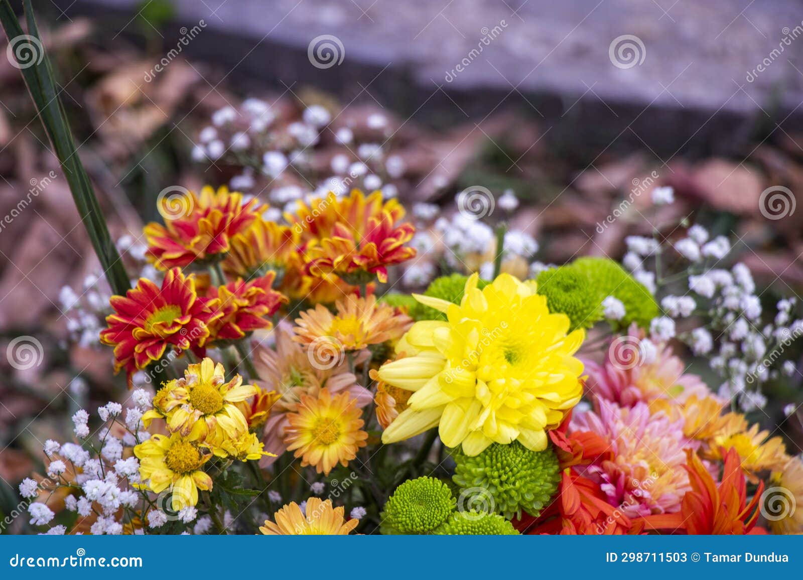 Autumn flowers bad stock image. Image of composition 298711503
